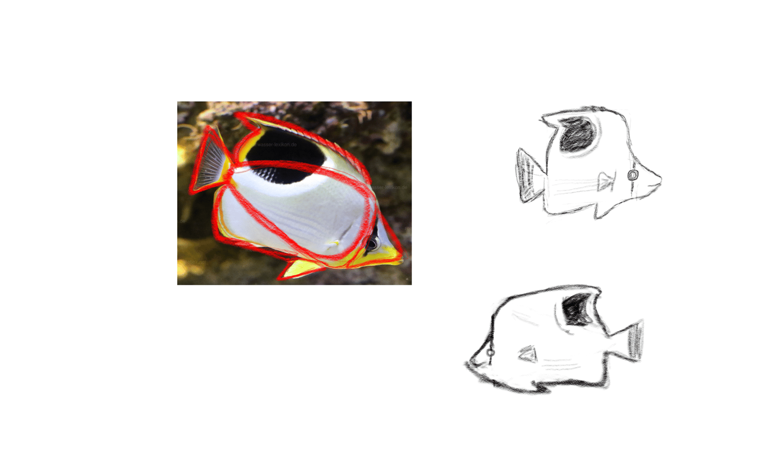 Concept Art Threadfin Butterflyfish - image 2 - student project