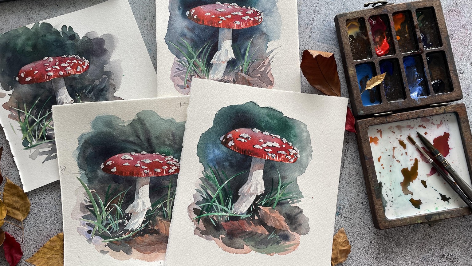 Mushroom harvest - image 1 - student project