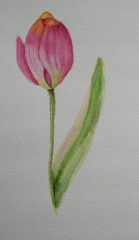 start:) - image 1 - student project