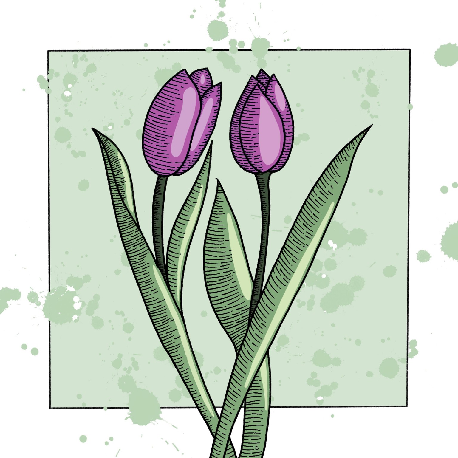 Tulips - image 1 - student project
