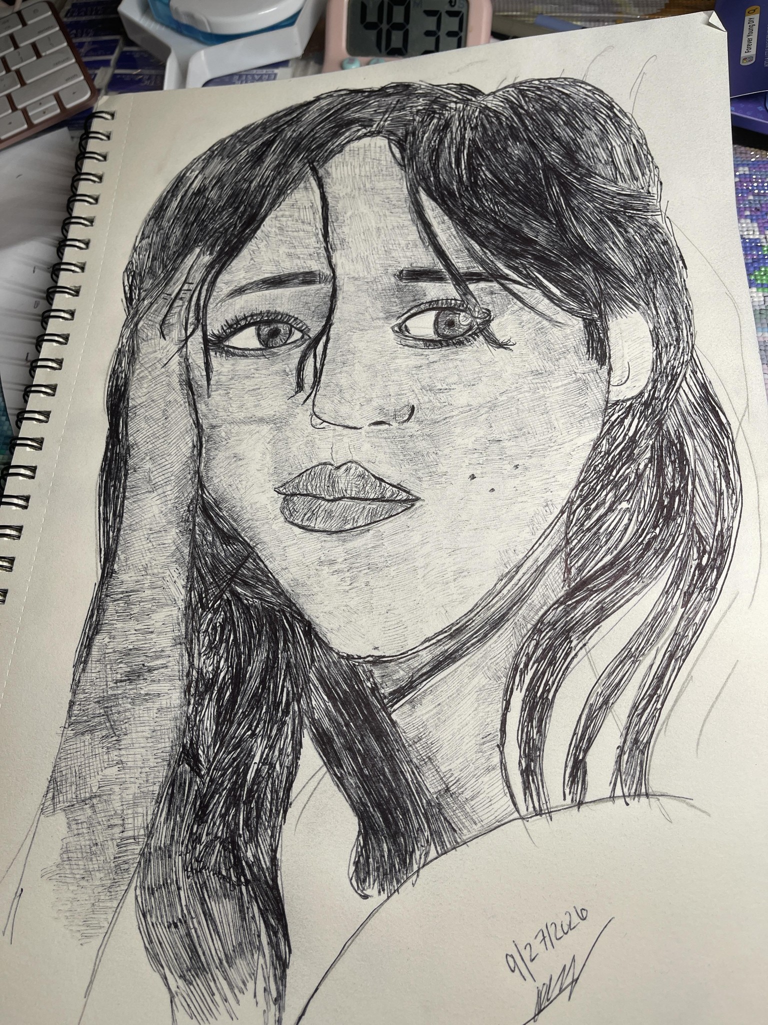 Ballpoint Pen Instead of Paint - image 1 - student project