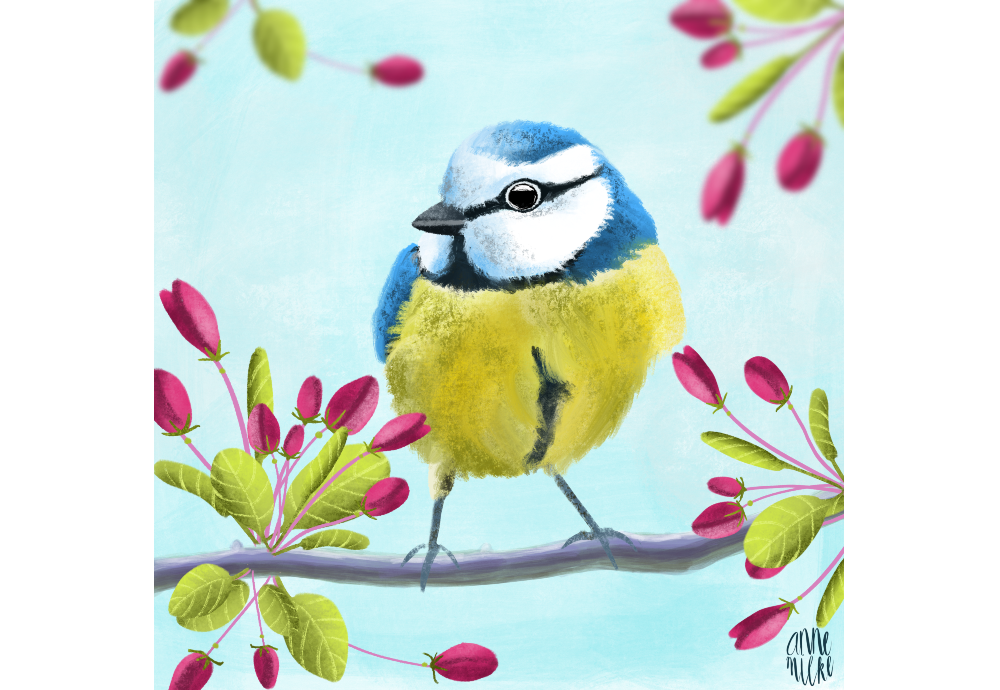 Blue tit - image 1 - student project