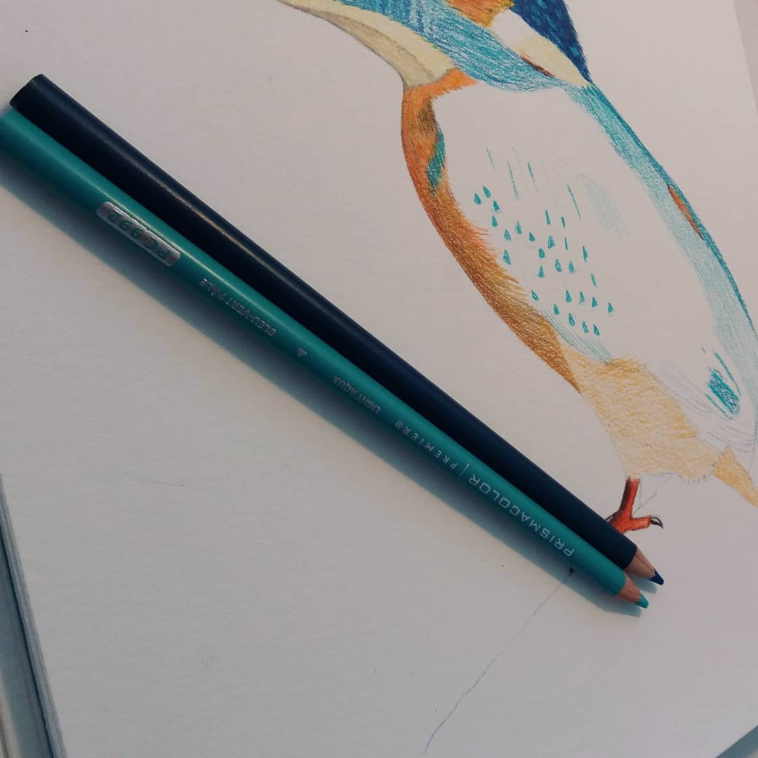 Kingfisher in pencil - image 1 - student project