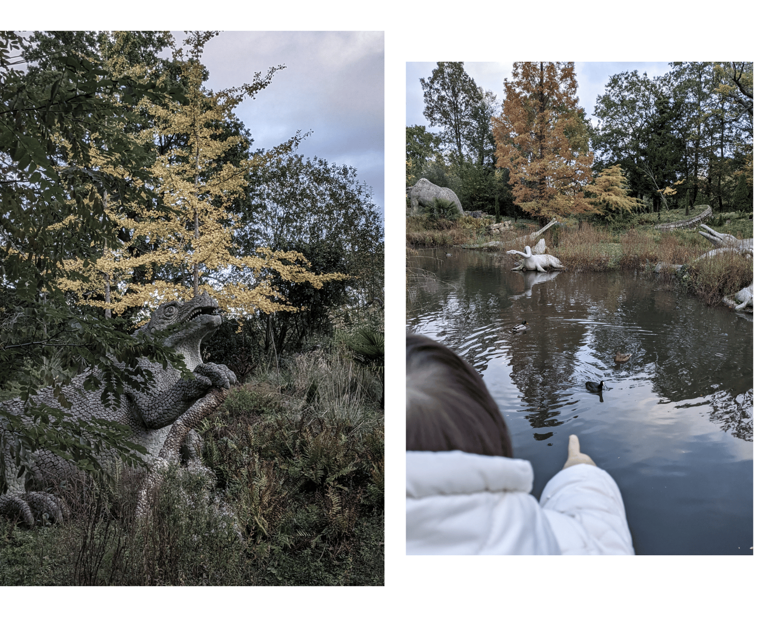 Adventure, Found - image 6 - student project
