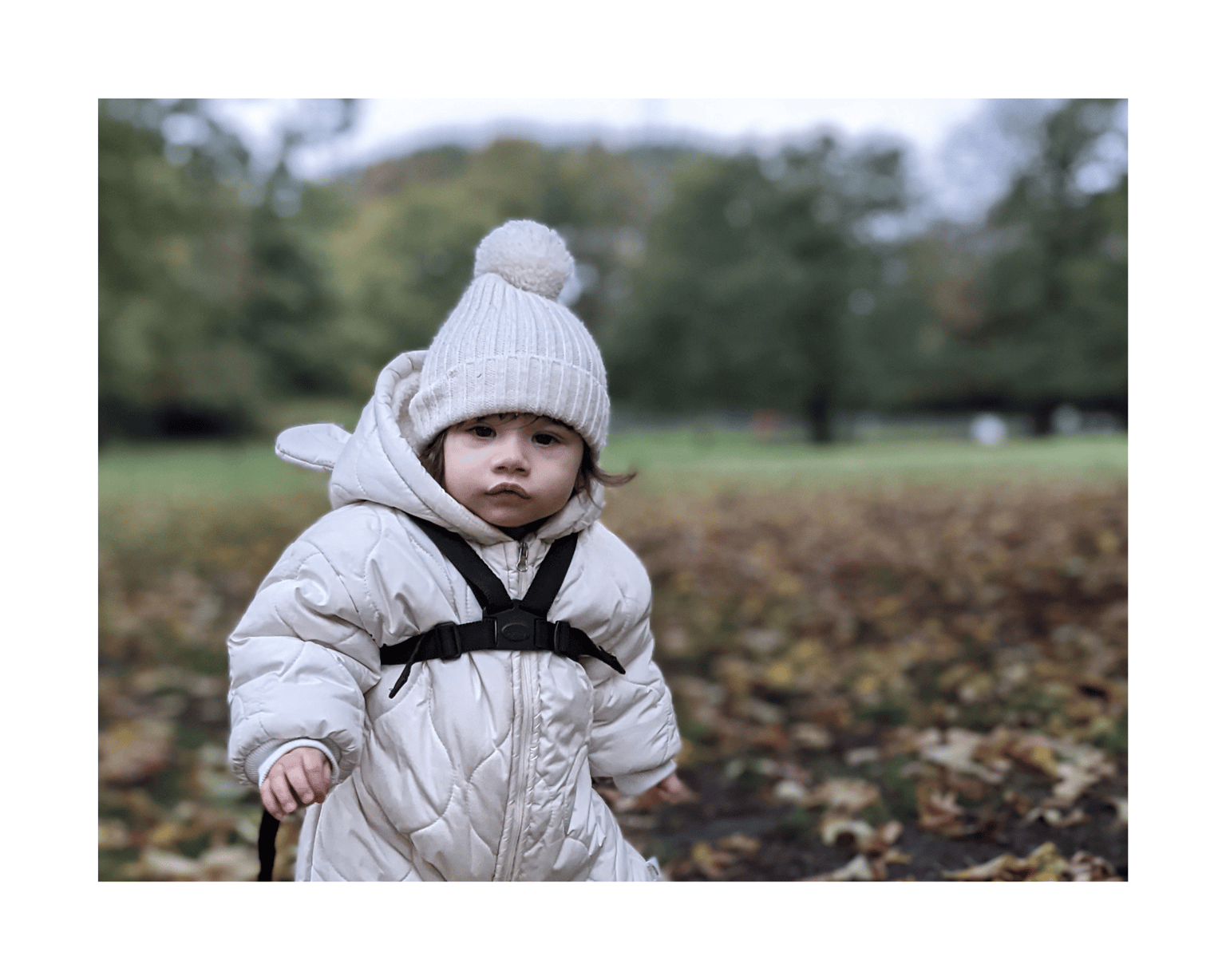 Adventure, Found - image 1 - student project