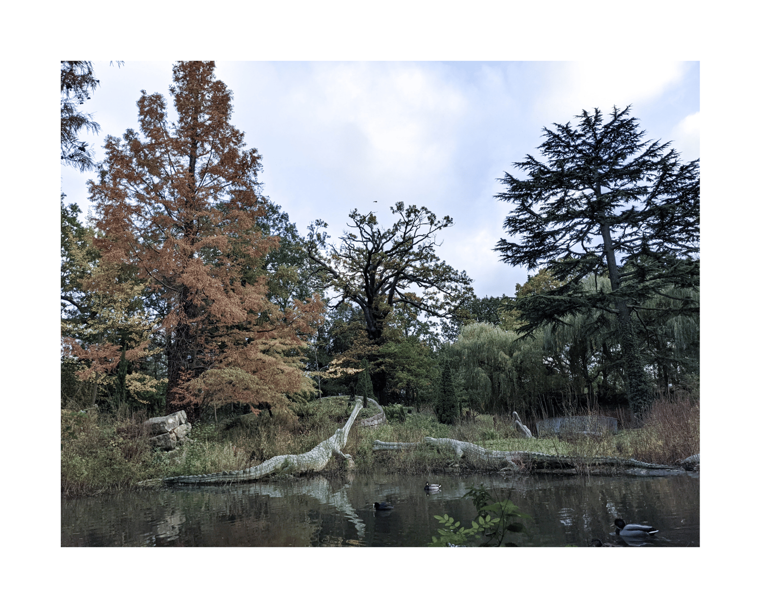 Adventure, Found - image 7 - student project