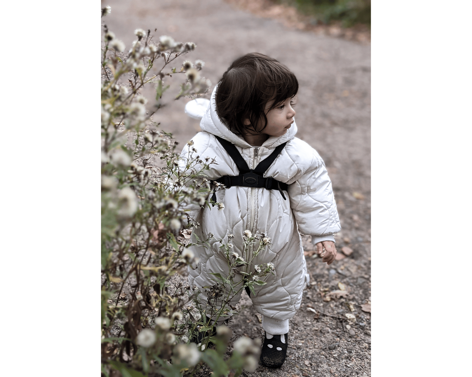 Adventure, Found - image 5 - student project