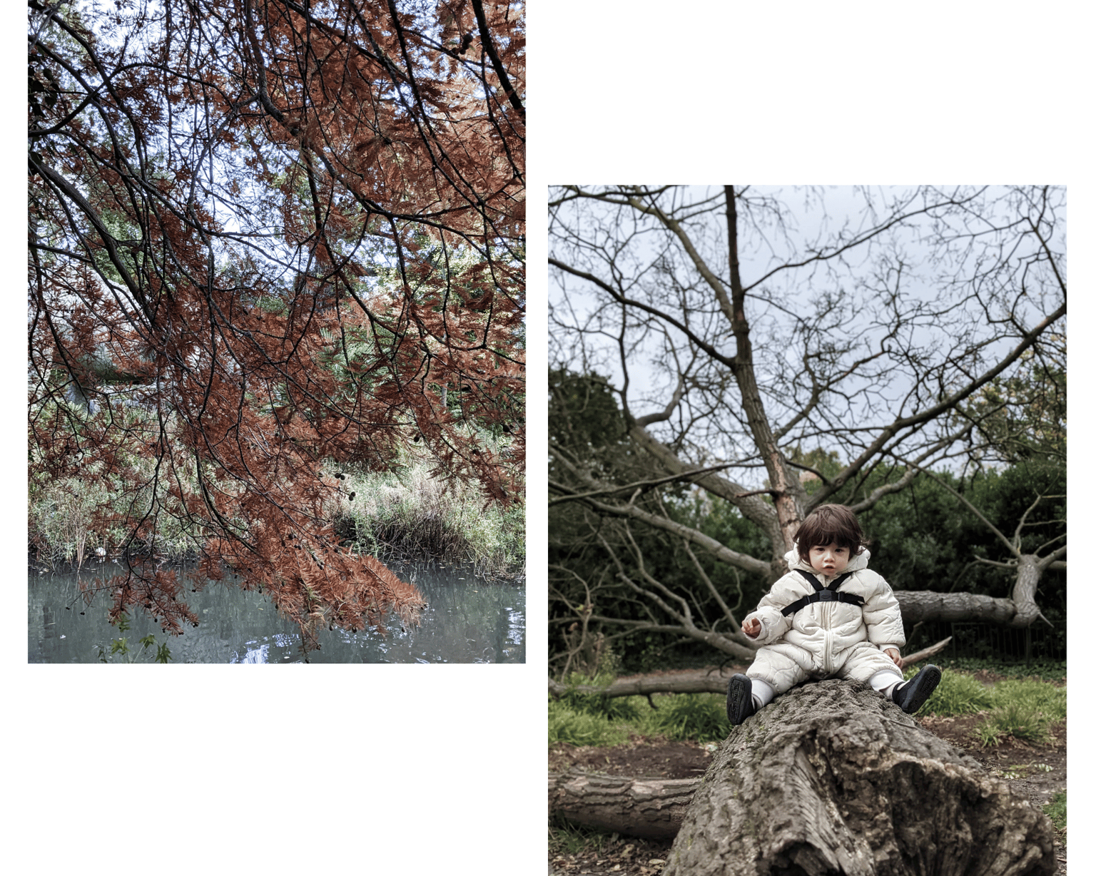 Adventure, Found - image 2 - student project