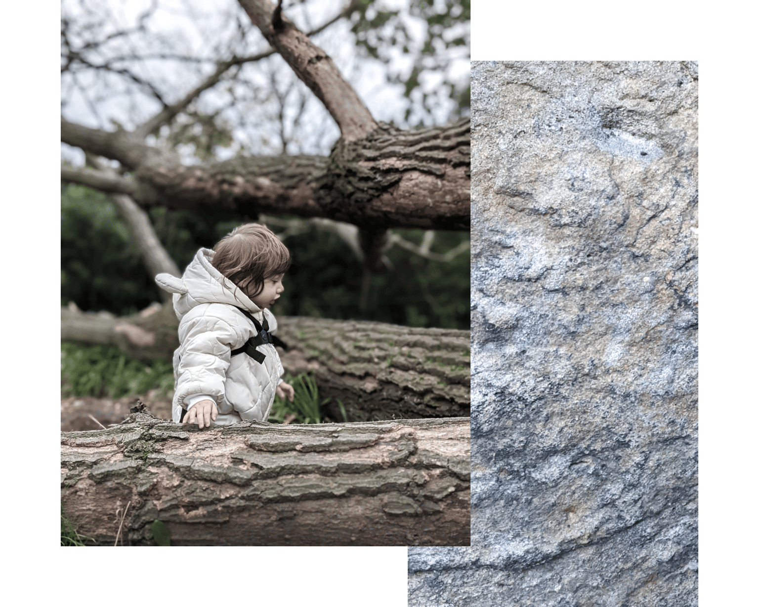 Adventure, Found - image 4 - student project
