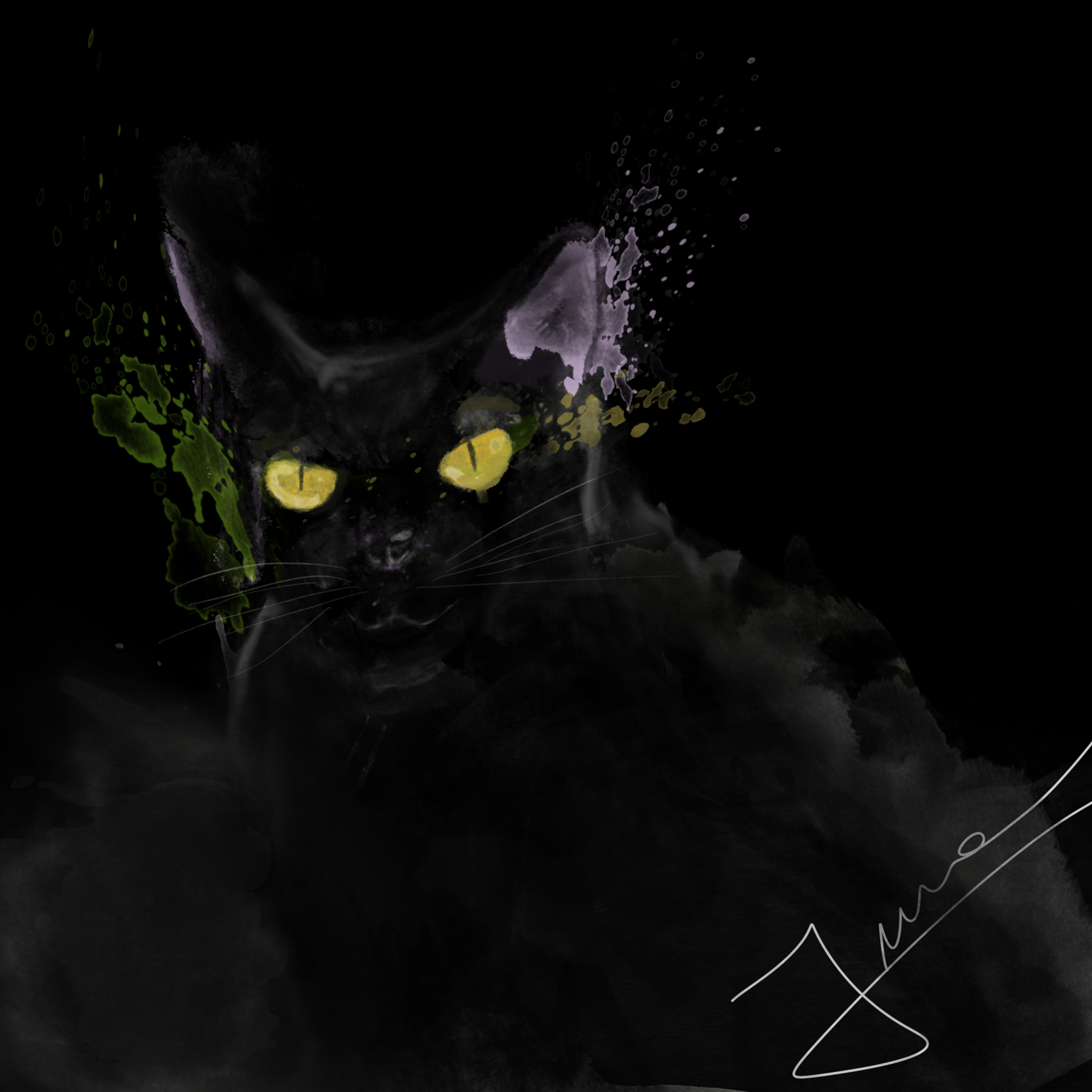 black cat - image 1 - student project