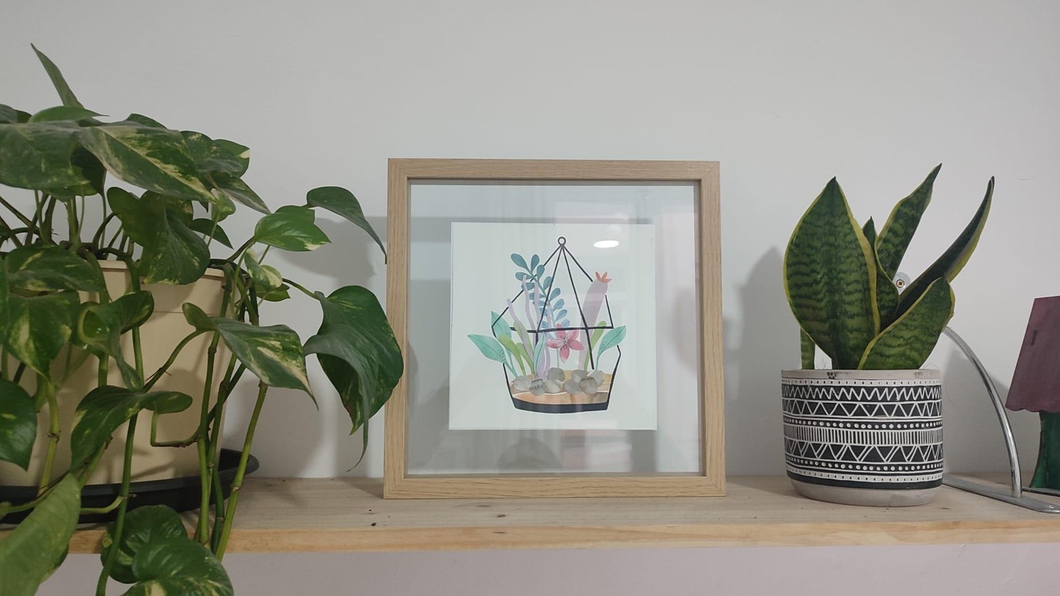 My Terrarium - image 1 - student project