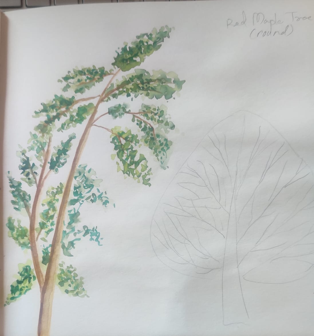 dolly thakur - image 2 - student project