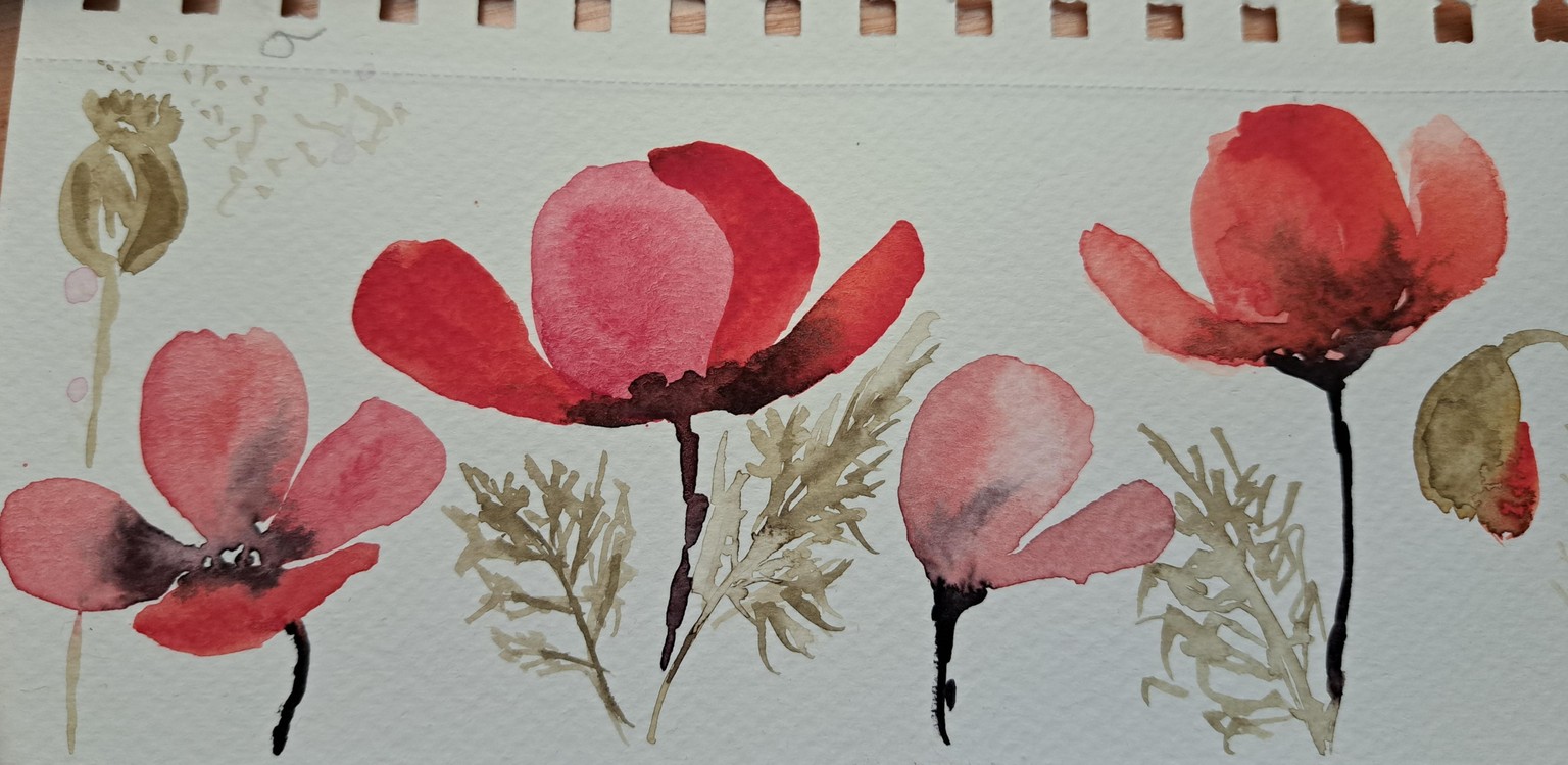 Amapolas - image 3 - student project