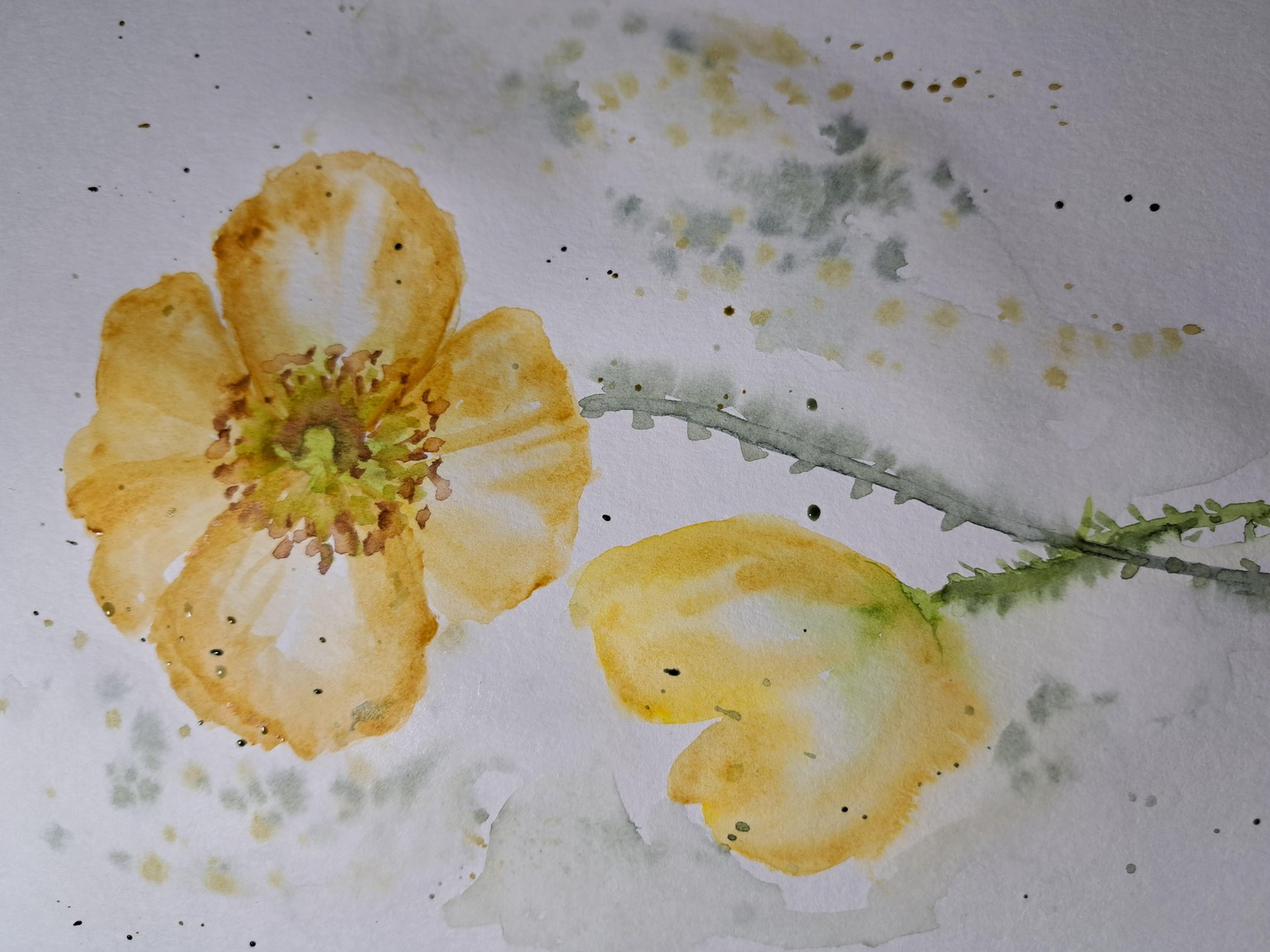 Desafio de verano en acuarelas . Flores silvestres con Nina - image 3 - student project
