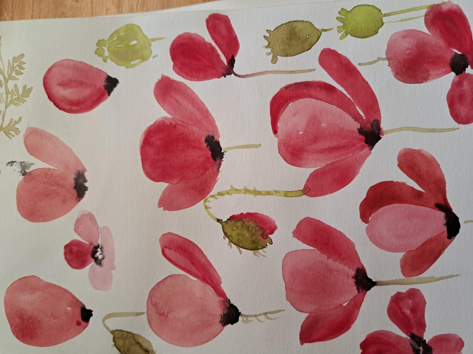Amapolas - image 4 - student project