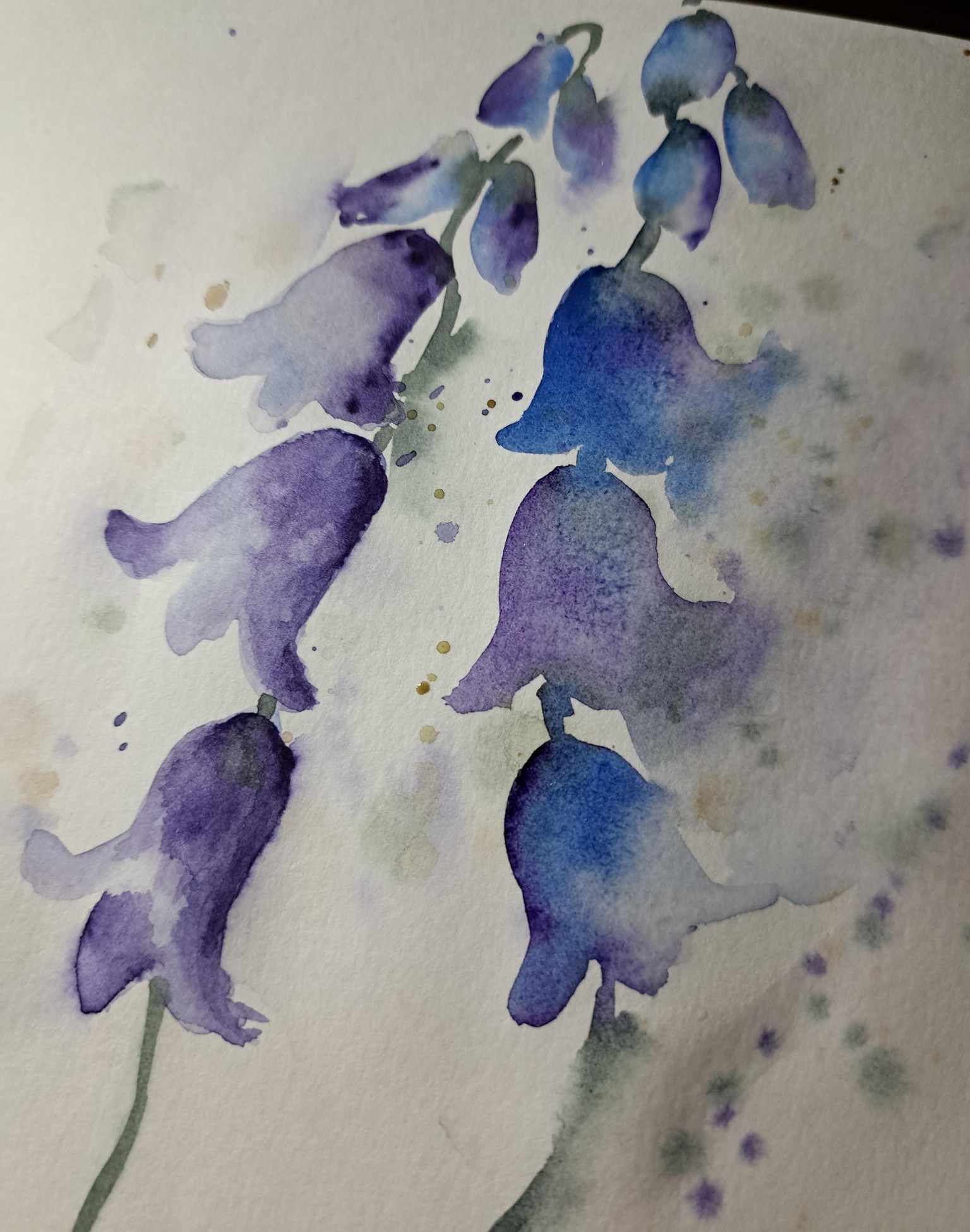 Desafio de verano en acuarelas . Flores silvestres con Nina - image 2 - student project