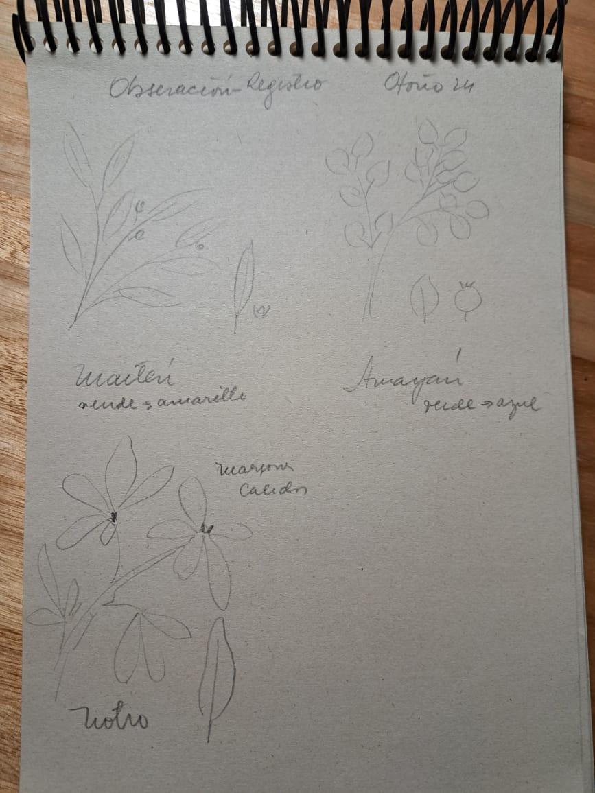 La naturaleza como inspiración: Pintamos hojas con acuarelas - image 6 - student project