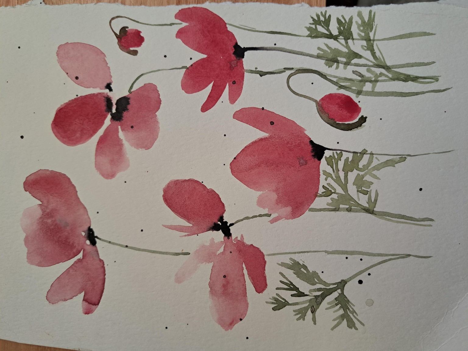 Amapolas - image 5 - student project