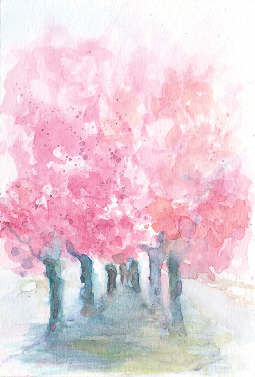 When cherry trees bloom in the city... - image 2 - student project
