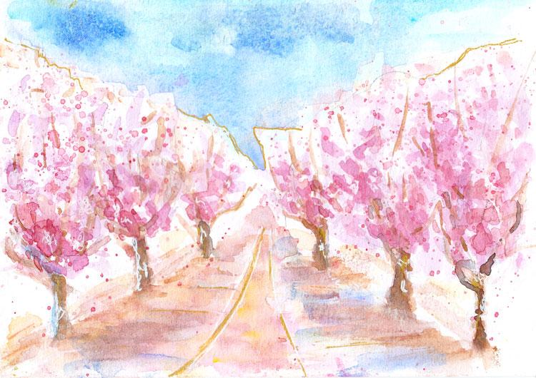 When cherry trees bloom in the city... - image 1 - student project