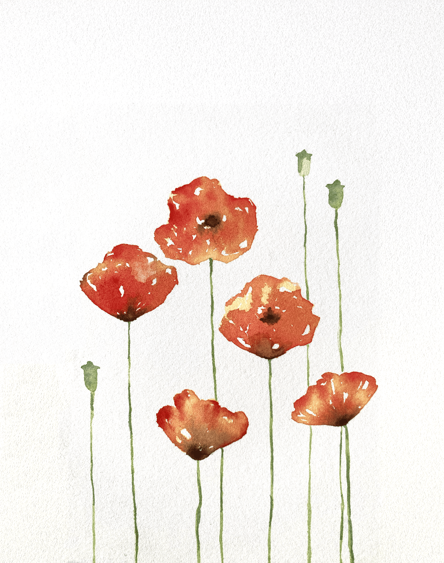 Poppy Flowers Watercolor - image 1 - student project