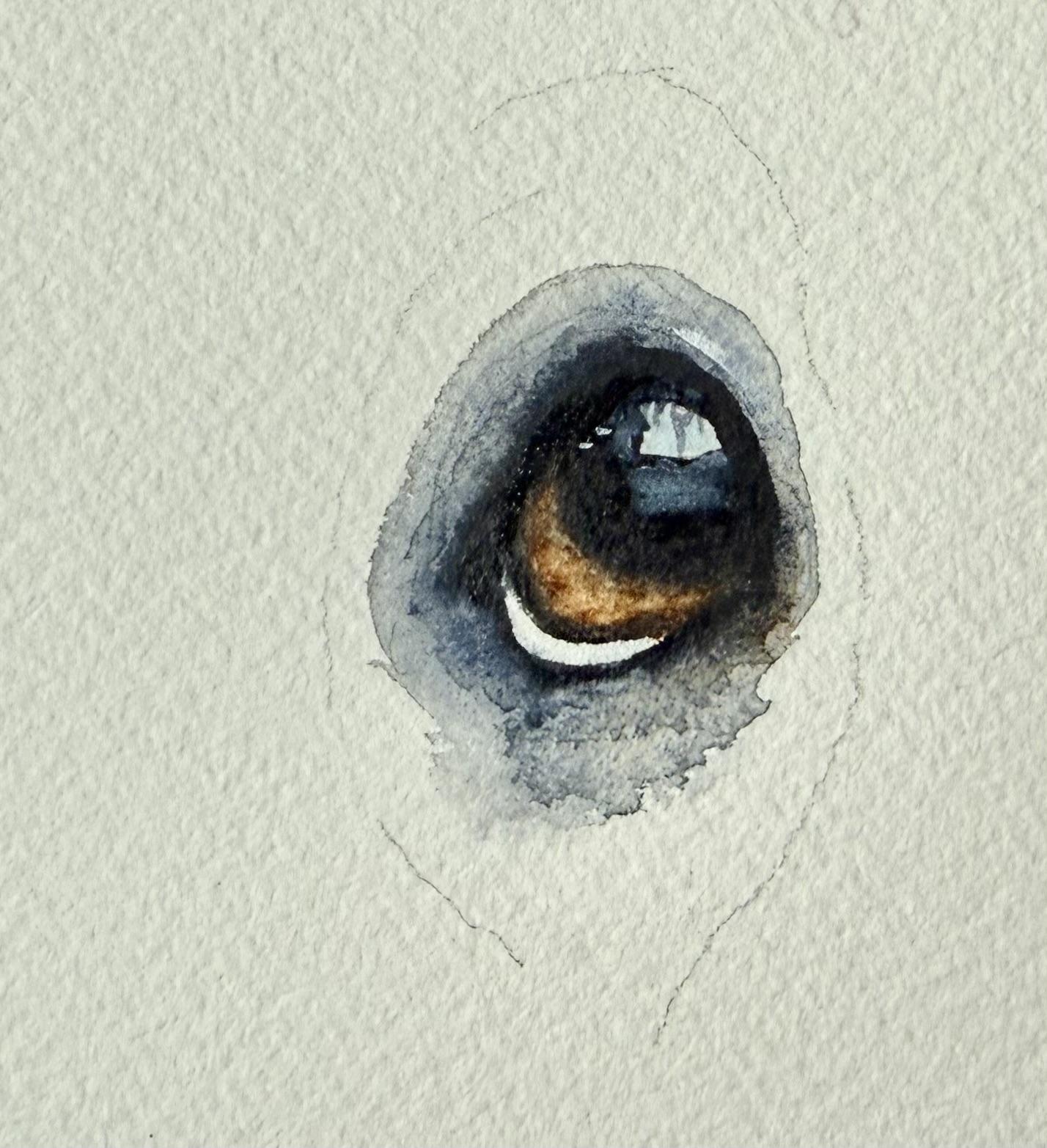 First Try Hound Eye - image 1 - student project