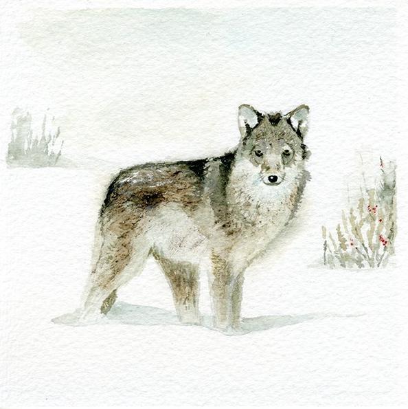 fox & friends - image 4 - student project