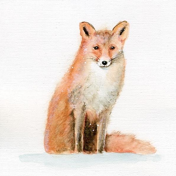 fox & friends - image 1 - student project