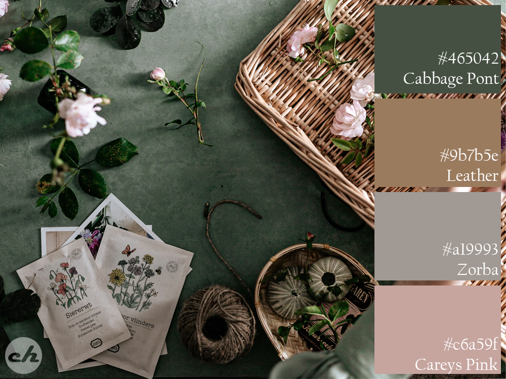 Color Scheme fun - image 1 - student project