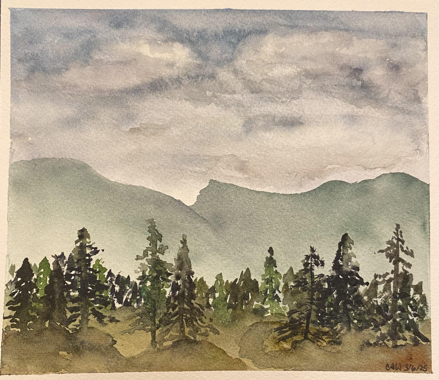 Trees - image 1 - student project