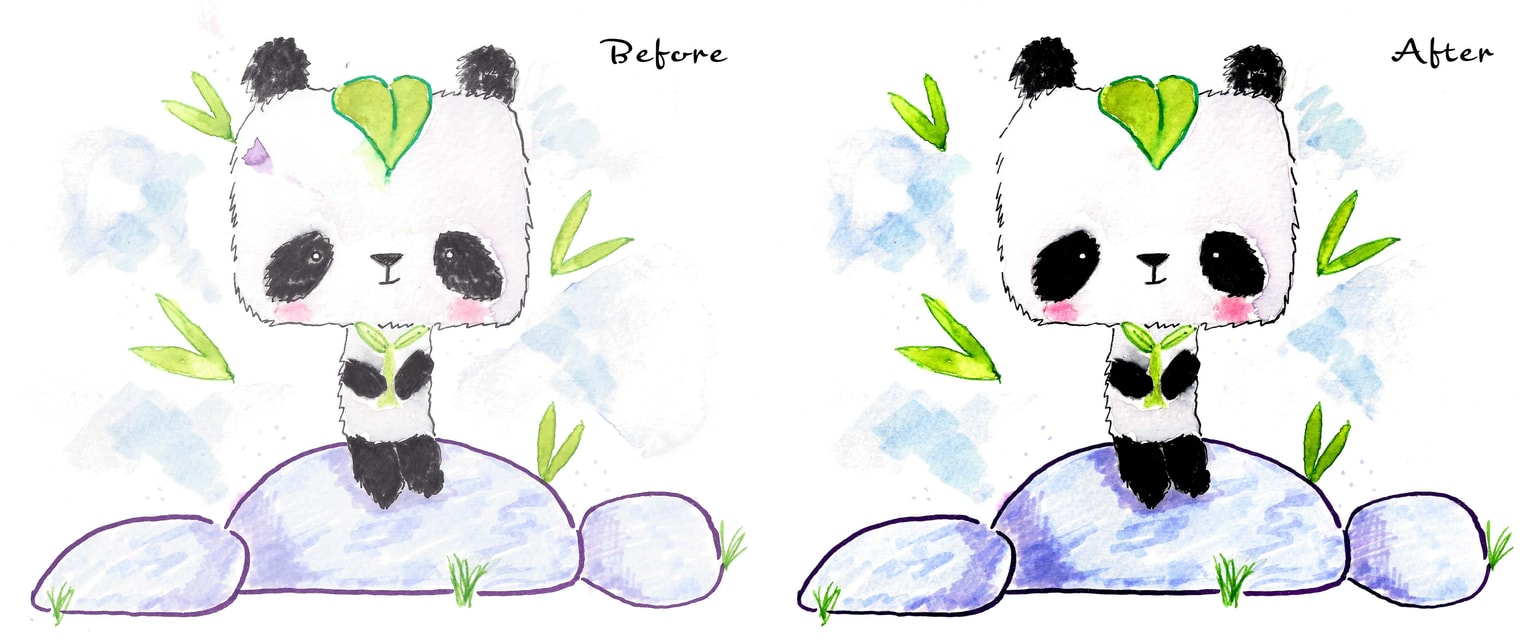 Panda Before & After - image 1 - student project