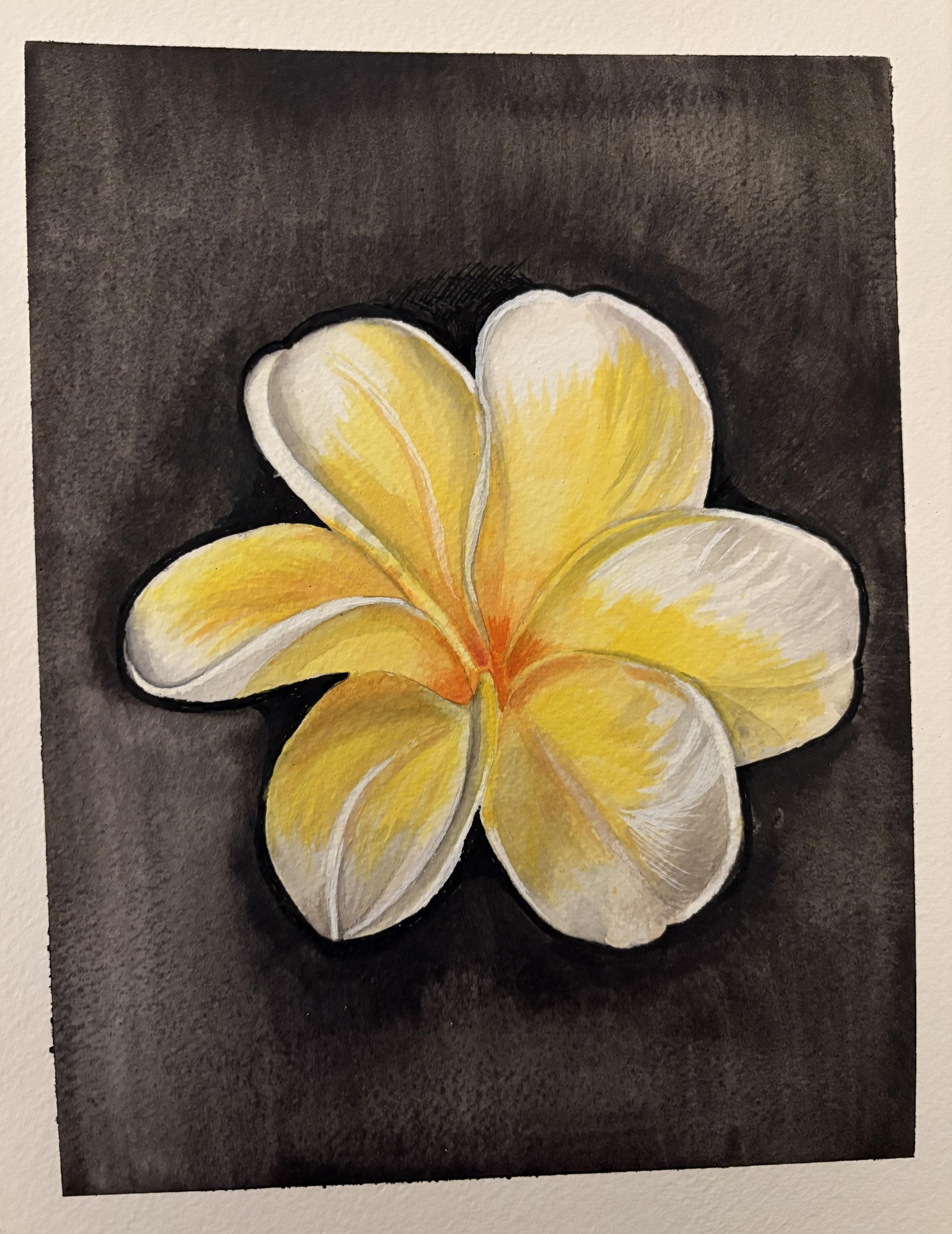Plumeria - image 1 - student project