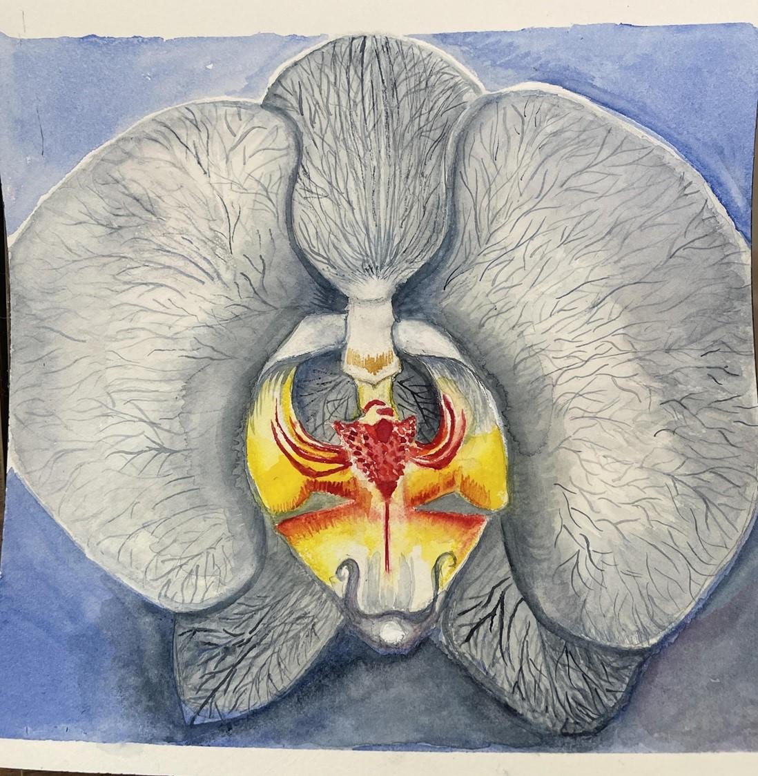 Orchid - image 1 - student project