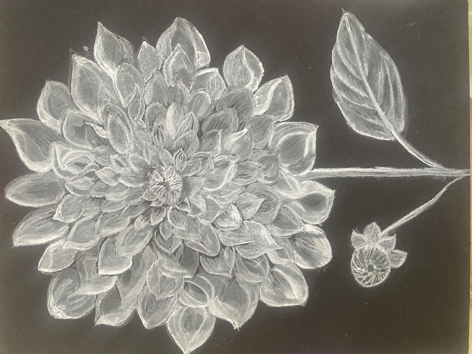 Dahlia - image 1 - student project