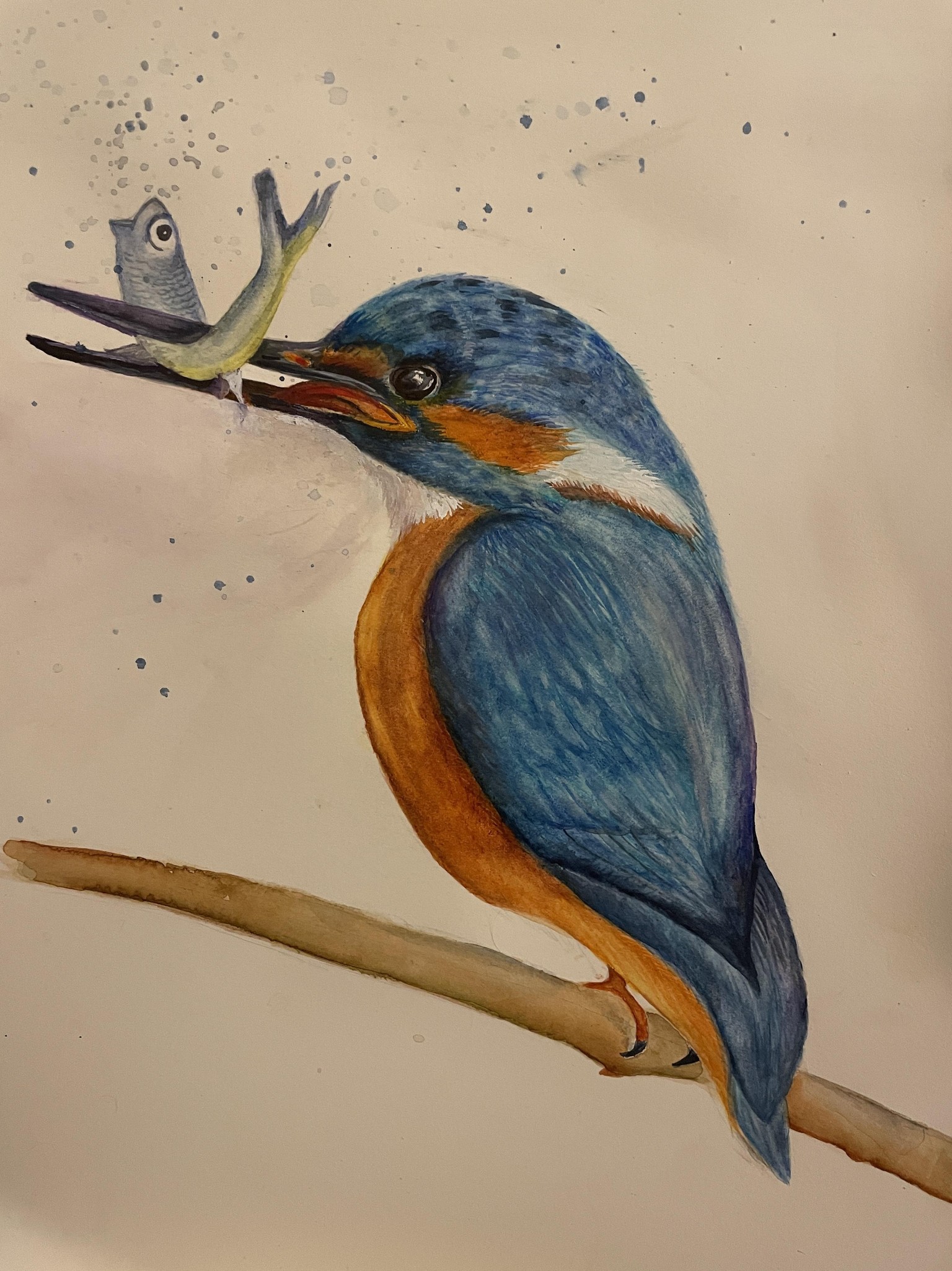 Kingfisher with fish - image 1 - student project