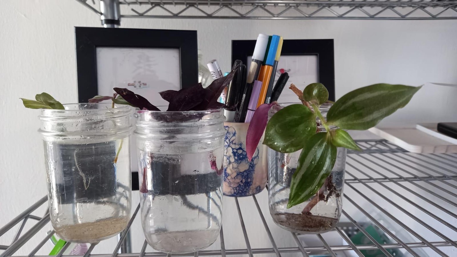 My little happy station - image 1 - student project