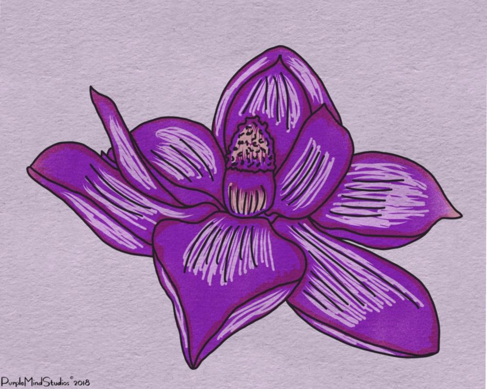 First Ever Procreate Project! - image 3 - student project