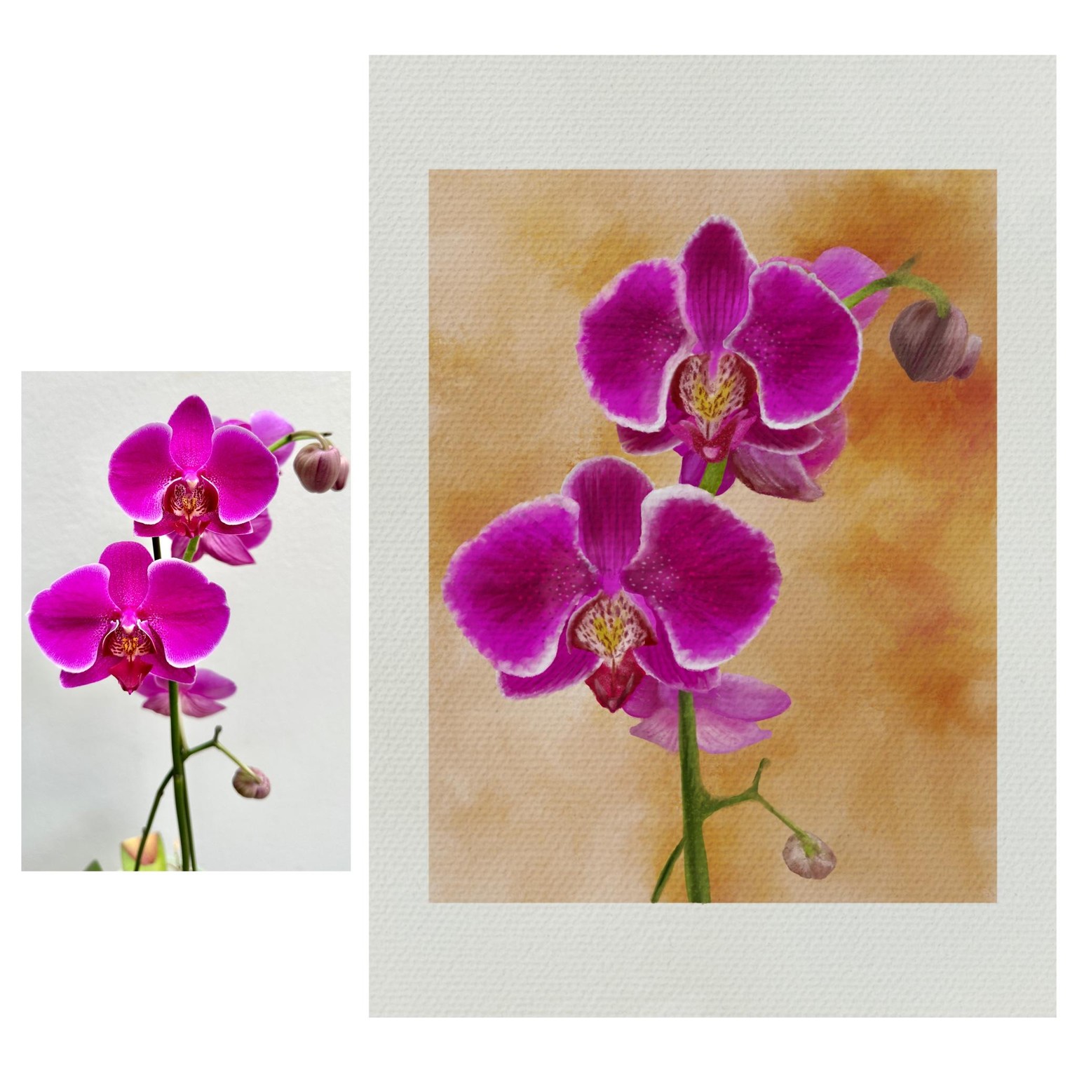 Orchid digital oil painting - image 1 - student project
