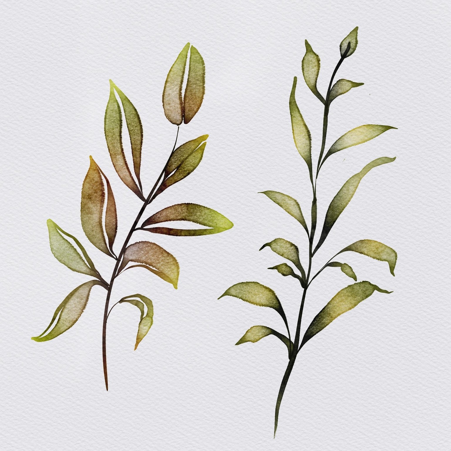 Watercolour Leaves with Procreate - image 1 - student project