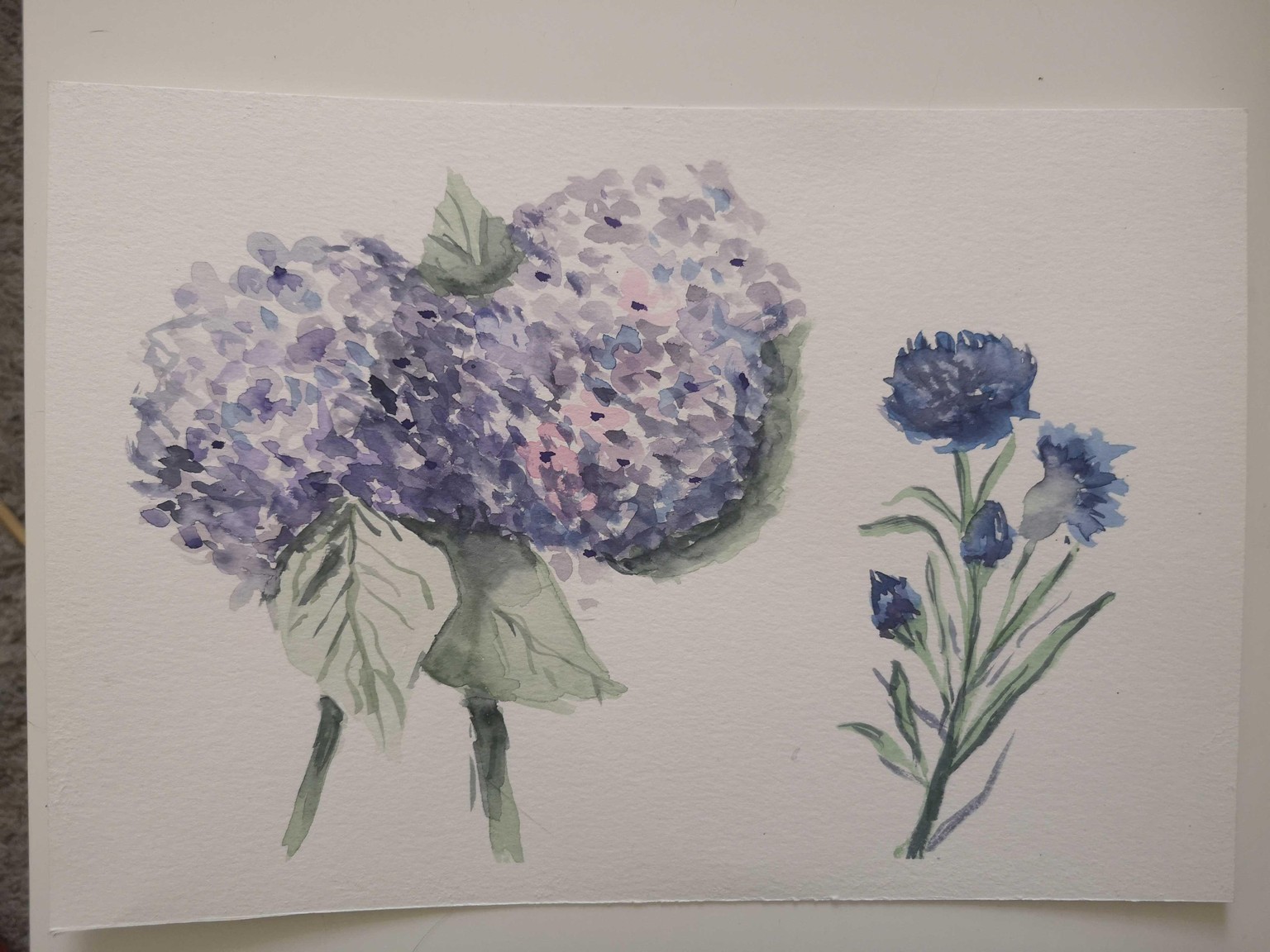 Hydrangea and Cornflower - image 1 - student project