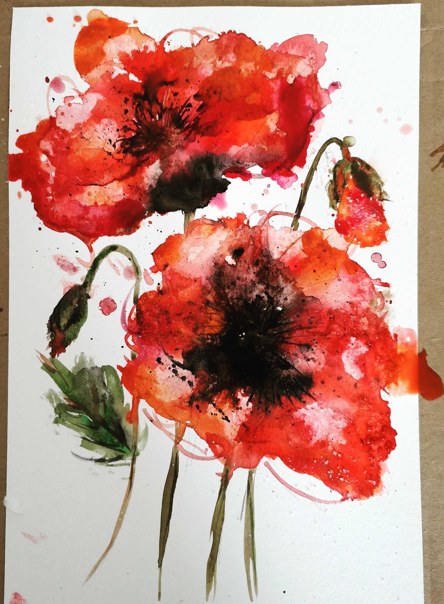 Poppy Flowers - image 1 - student project