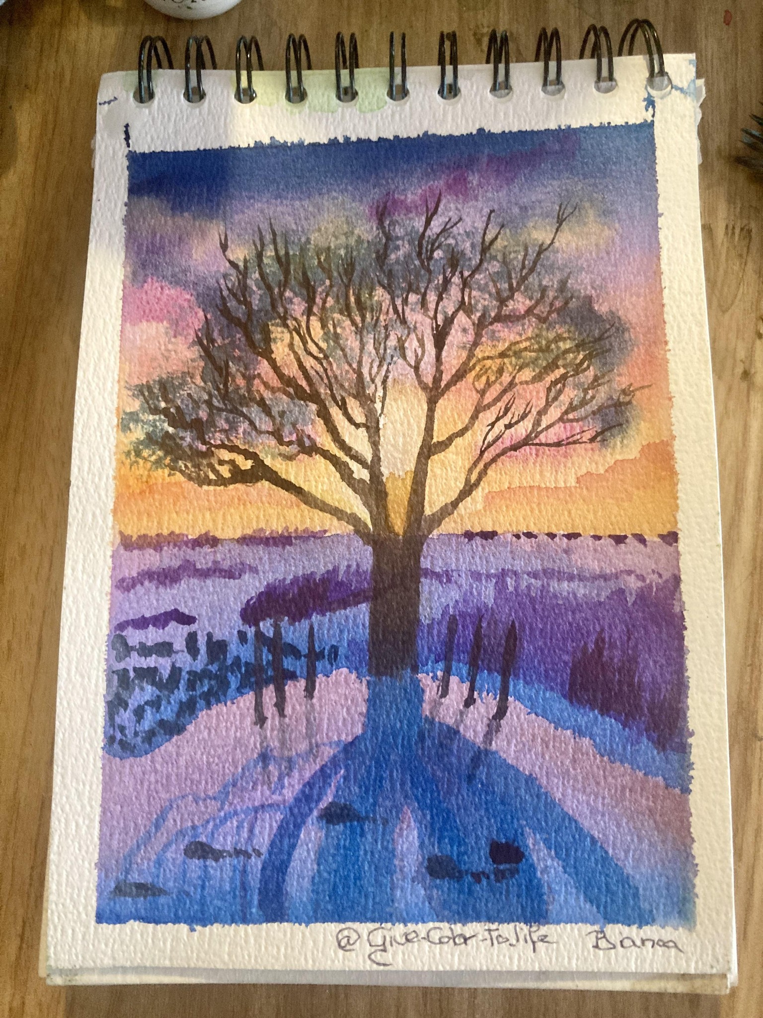 Sunset tree - image 1 - student project
