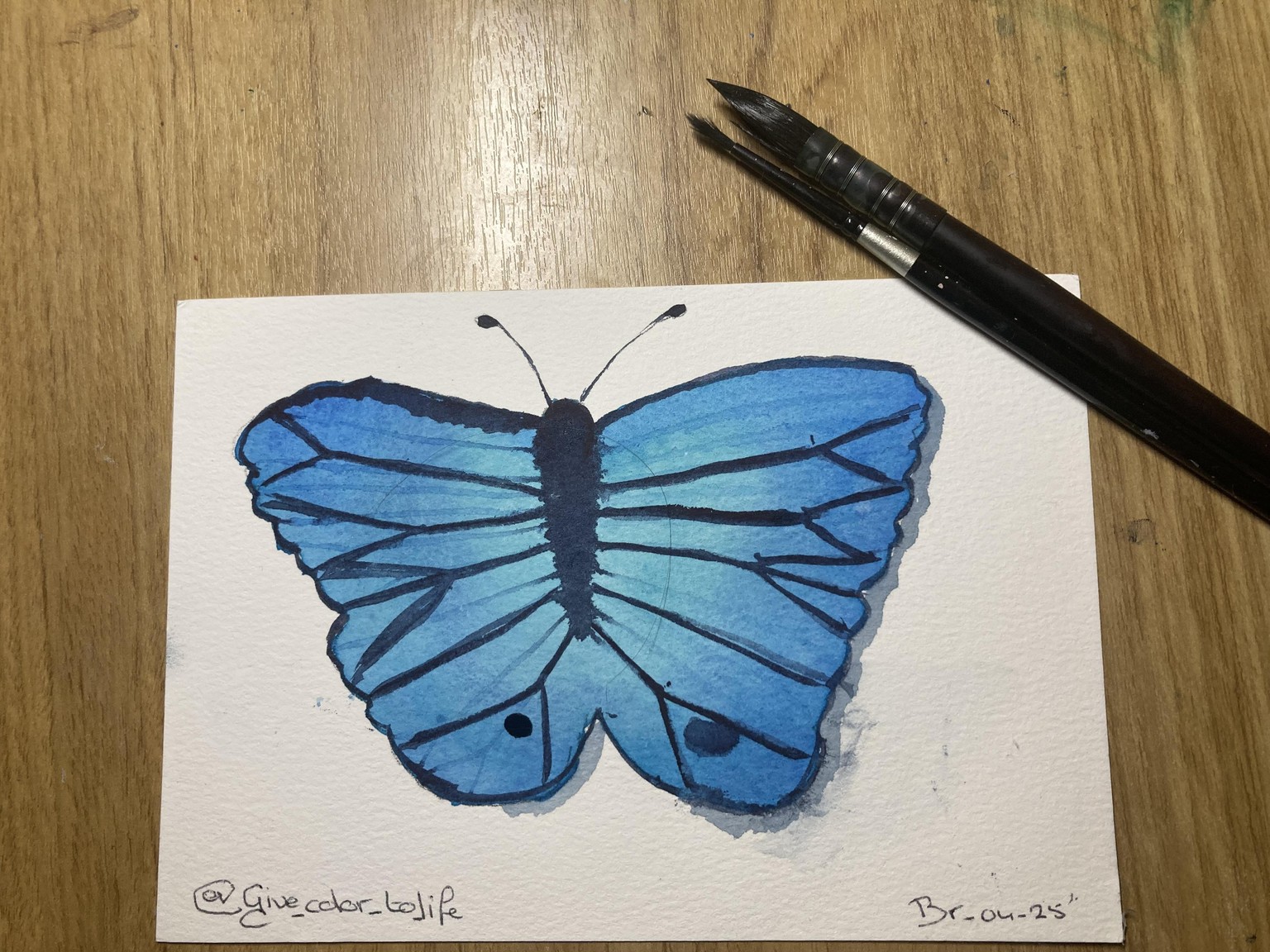 Butterflies - image 1 - student project