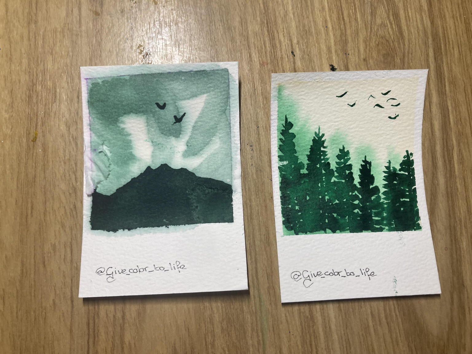 Polaroid landscapes - image 4 - student project