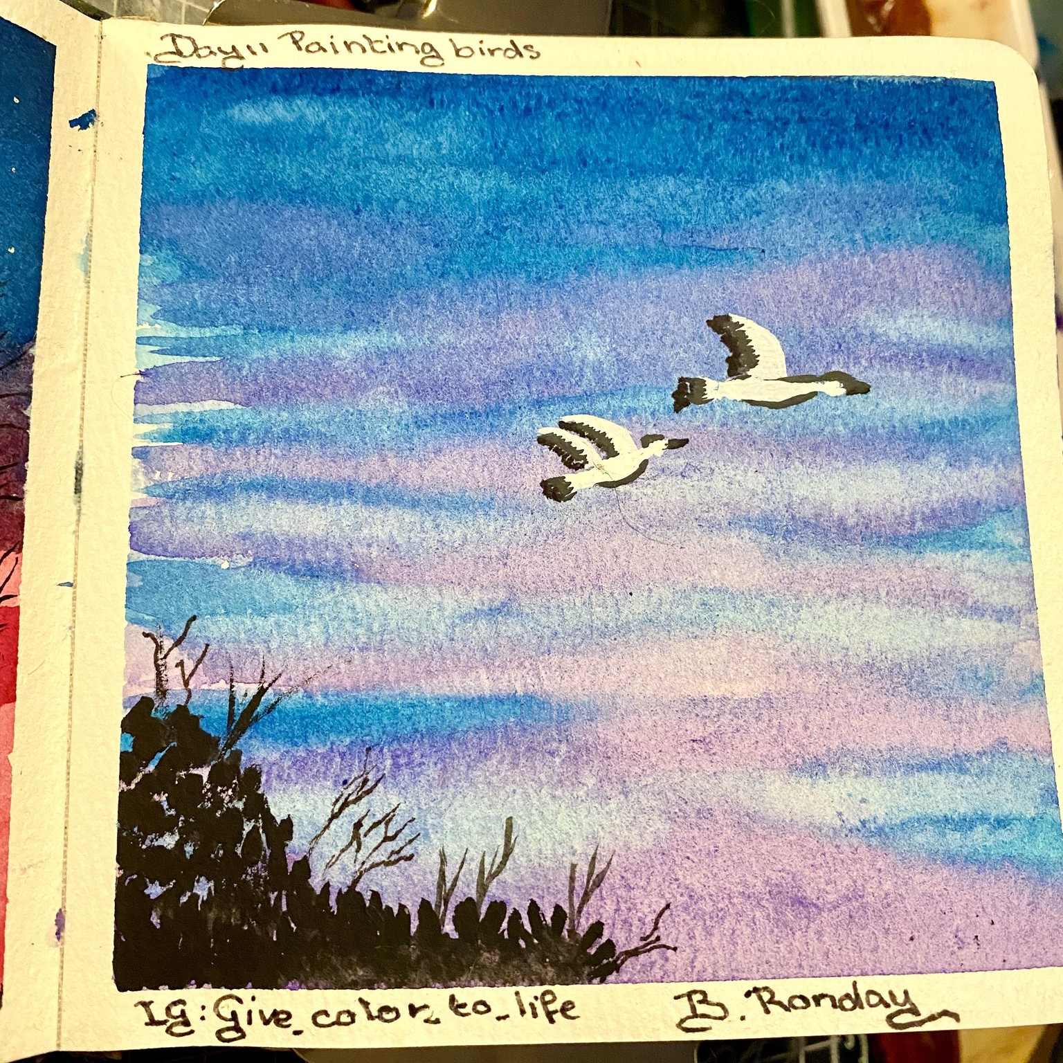Birds flying high, you know how I feel ……… - image 13 - student project