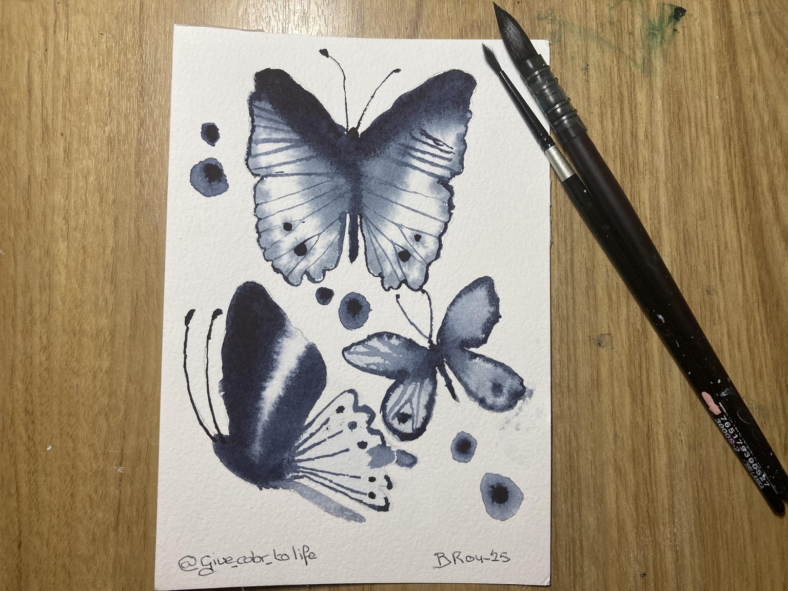Butterflies - image 3 - student project