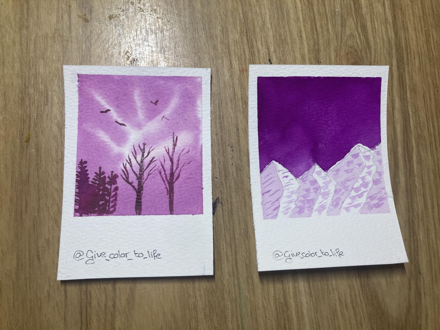 Polaroid landscapes - image 2 - student project