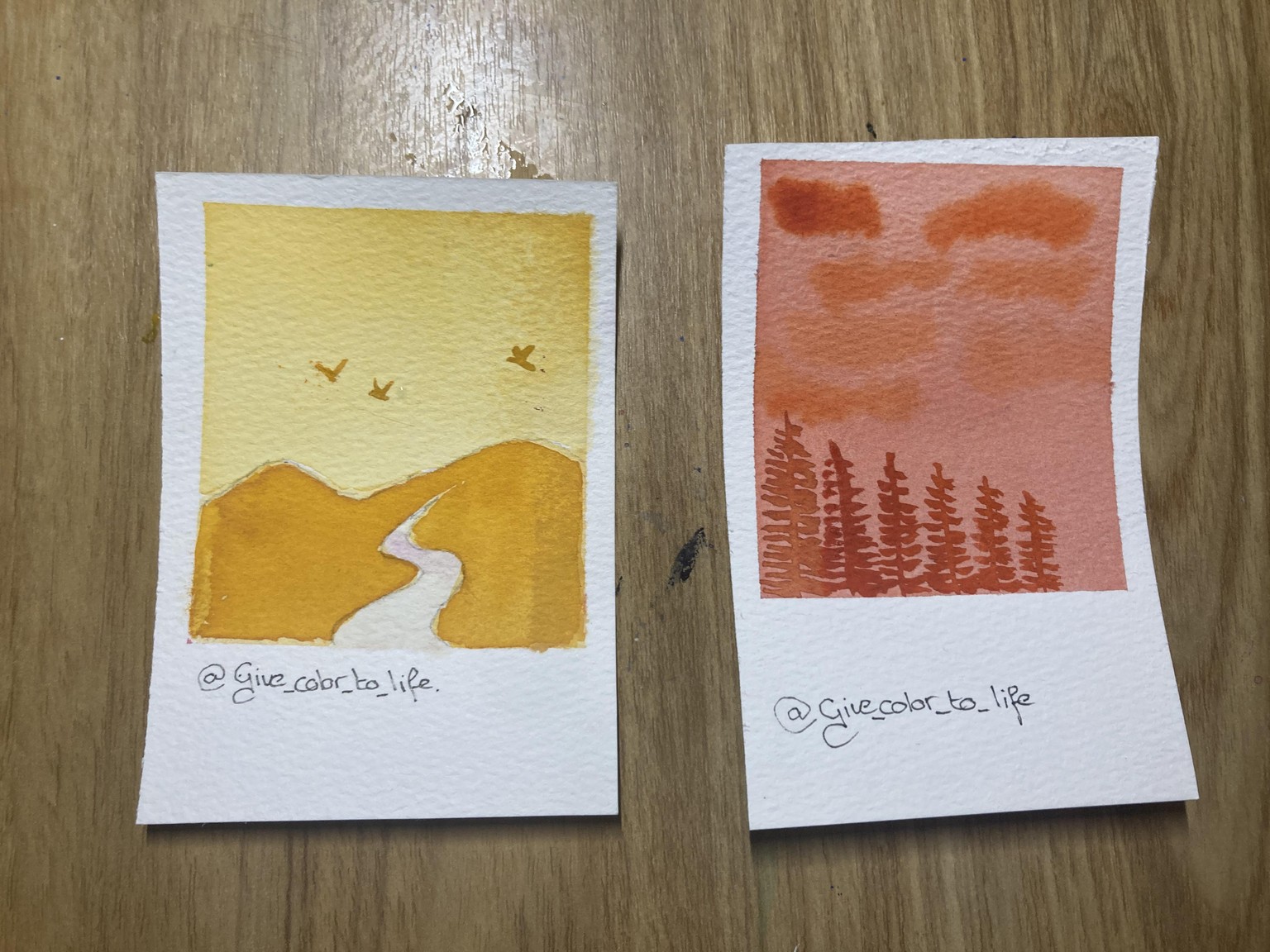 Polaroid landscapes - image 3 - student project
