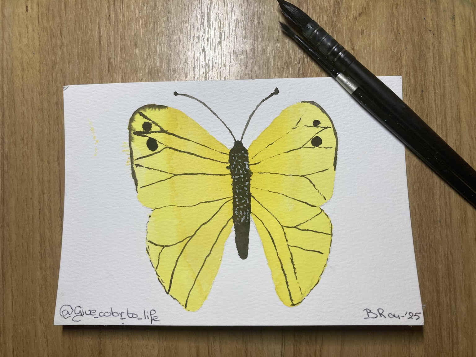 Butterflies - image 2 - student project