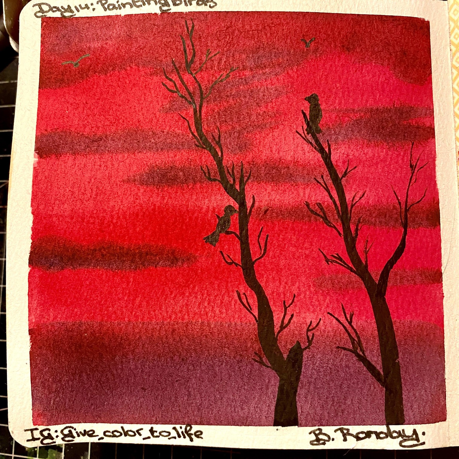 Birds flying high, you know how I feel ……… - image 16 - student project